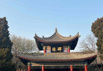 西安碑林博物馆第 109 张图片