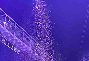 阿尔卑斯雪世界第 433 张图片