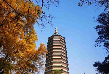 八大处公园第 56 张图片