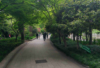复兴公园第 48 张图片