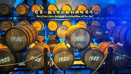 龙谕酒庄第 38 张图片
