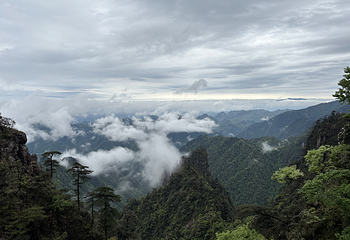 莽山五指峰景区第 72 张图片