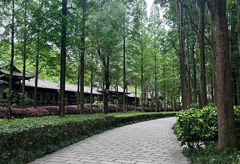 浣花溪公园第 75 张图片