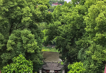 华岩寺第 49 张图片