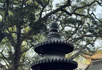 普济禅寺第 21 张图片
