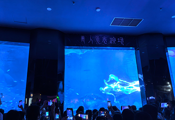 海合安青岛极地海洋公园第 189 张图片