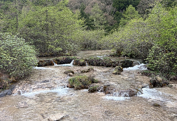 黄龙风景名胜区第 249 张图片