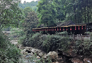 青城后山第 19 张图片