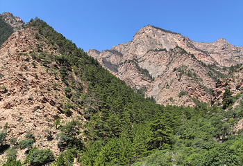 宁夏贺兰山国家森林公园第 25 张图片