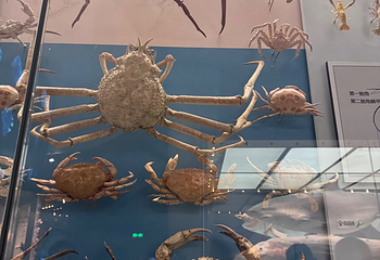 国家海洋博物馆第 158 张图片