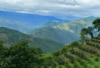 高黎贡山第 20 张图片