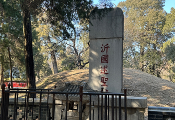 曲阜三孔景区第 185 张图片