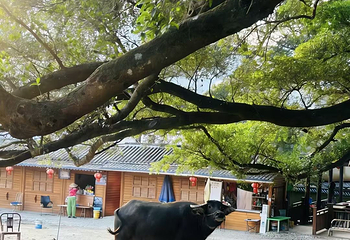 杨家溪第 28 张图片
