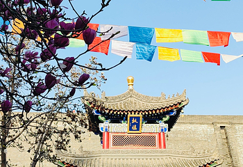 广仁寺第 74 张图片