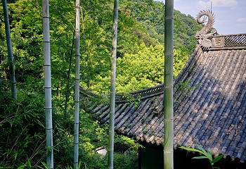 灵隐飞来峰景区第 115 张图片