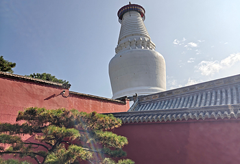 五台山第 146 张图片