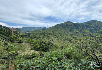 婺源篁岭景区第 163 张图片