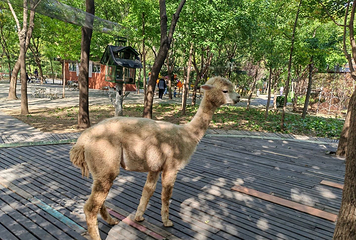 南宫旅游休闲度假区第 105 张图片