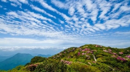 金佛山西坡第 1 张图片