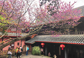 青城山第 66 张图片