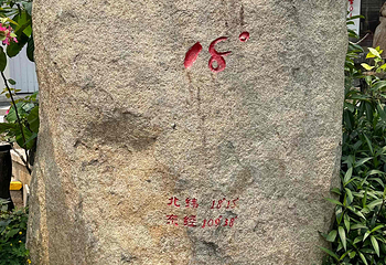 亚龙湾热带天堂森林公园第 203 张图片