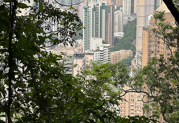 太平山顶第 274 张图片