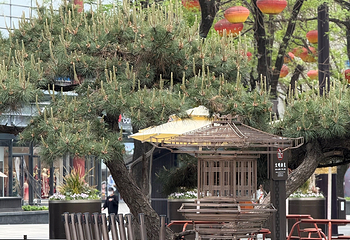 大唐不夜城第 160 张图片