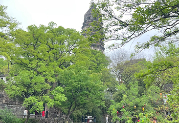 虎丘山风景名胜区第 213 张图片