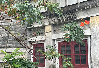 赤坎·广东华侨国际旅游度假区第 161 张图片