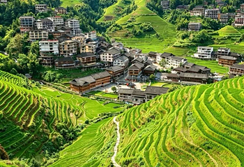 龙脊梯田第 130 张图片