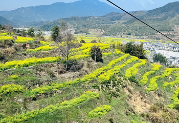 婺源篁岭景区第 322 张图片