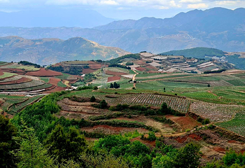 东川红土地第 28 张图片