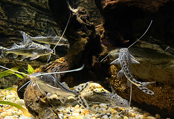 上海海洋水族馆第 193 张图片