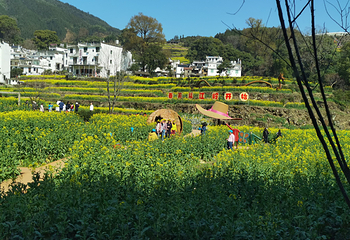 婺源风景区第 124 张图片