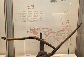 海南省博物馆第 22 张图片