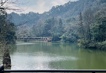 青城山第 323 张图片