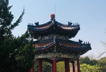 天坛公园第 305 张图片