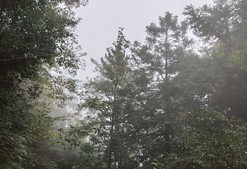 九华山风景区第 294 张图片