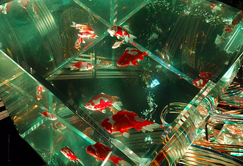 银座艺术水族馆美术馆第 43 张图片