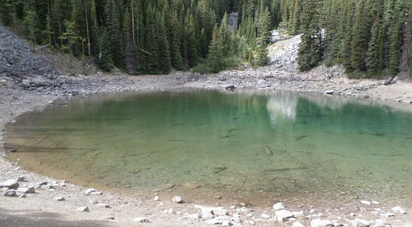 Northern Art Impressions