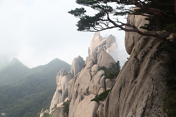 蔚山岩第 20 张图片