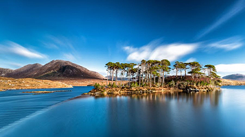 Pine Island Viewpoint