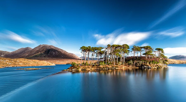 Pine Island Viewpoint