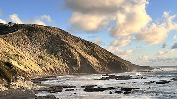 Port Waikato Sand Dunes