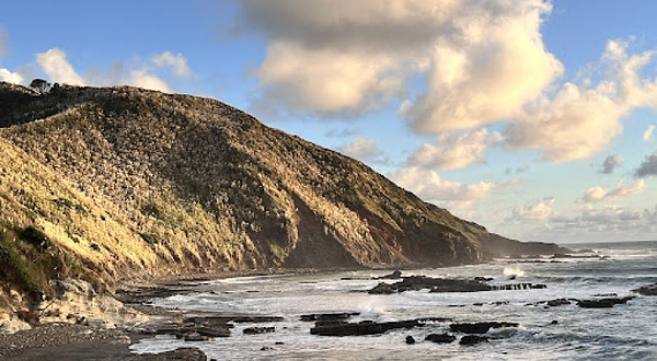 Port Waikato Sand Dunes