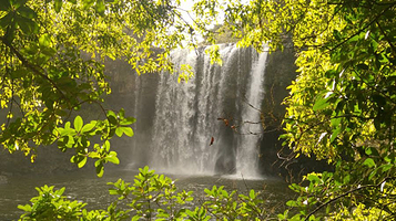 Rainbow Falls (Waianiwaniwa)