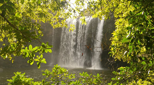 Rainbow Falls (Waianiwaniwa)