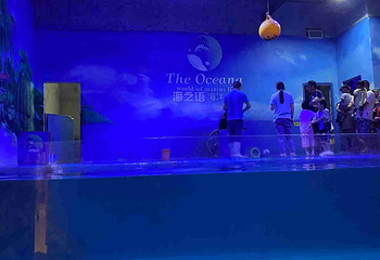 海之语海洋世界第 57 张图片