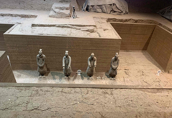 秦始皇帝陵博物院(兵马俑)第 609 张图片