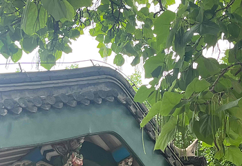张学良旧居第 287 张图片